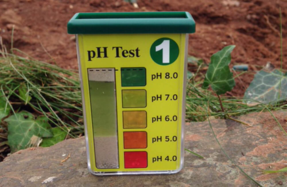 PHP Garden soil testing